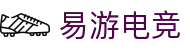 易游电竞-畅游电竞世界,乐享每一刻